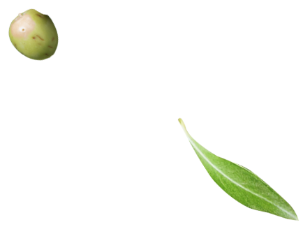 leaf-right