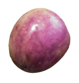 oliva-01