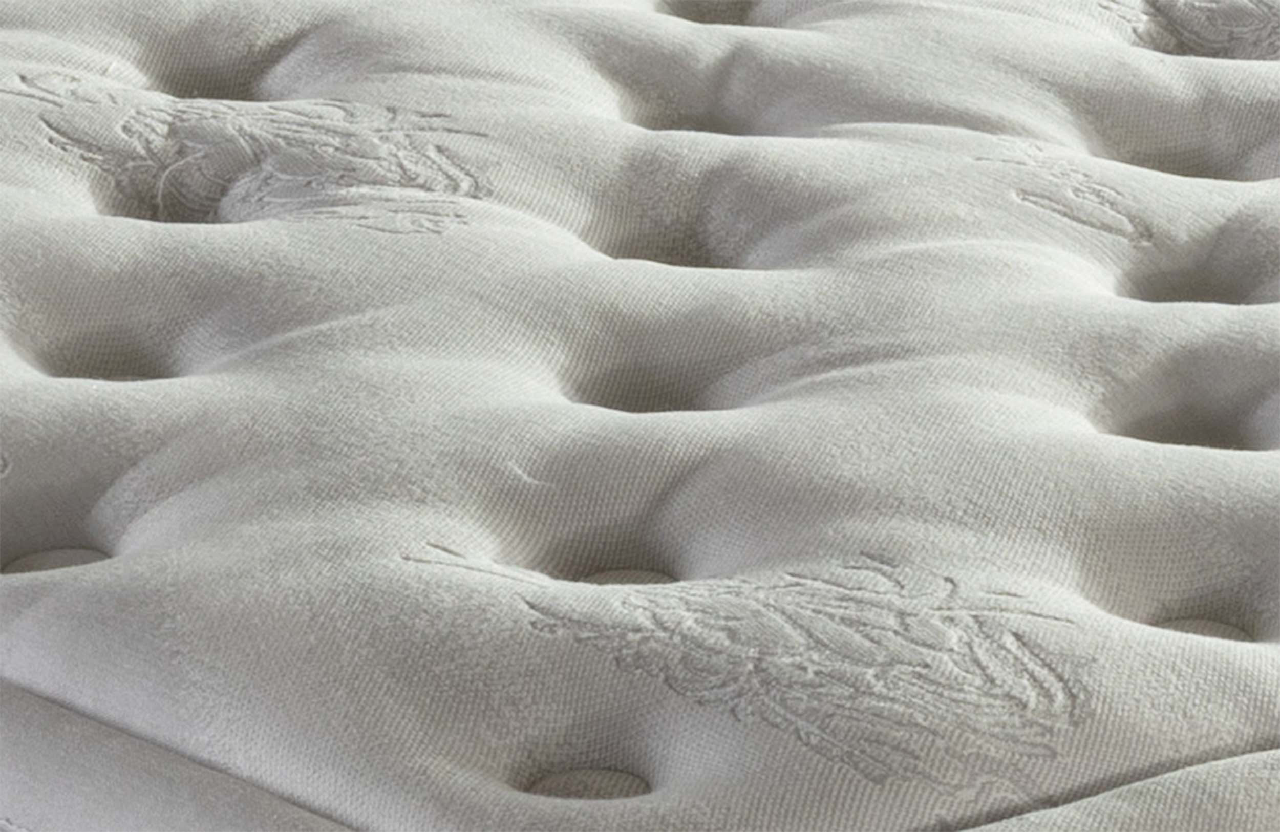 cashmere Rose - Image 3